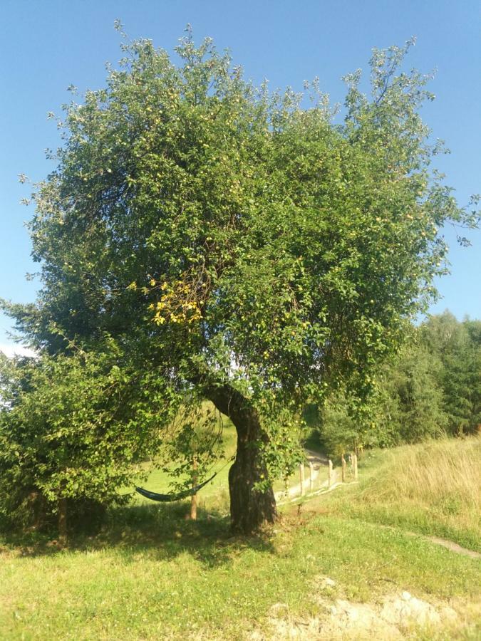 Bjorkowo Polańczyk Exterior foto